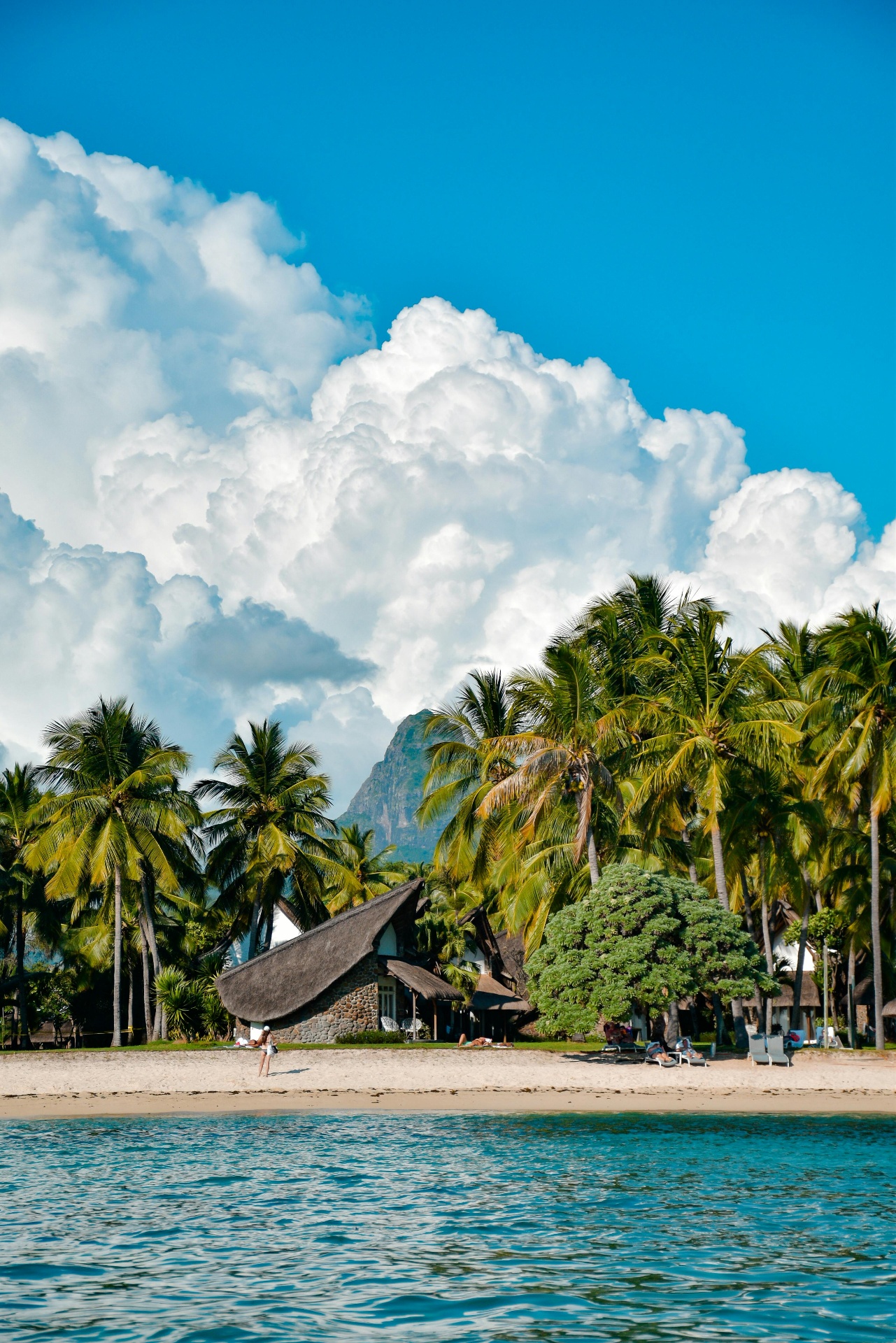 Mauritius coastline with Le Morne mountain